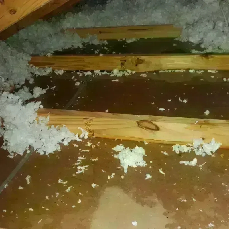 Attic Water Damage in Centreville, VA