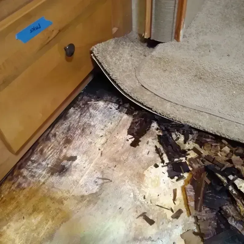 Best Wood Floor Water Damage Service in Centreville, VA